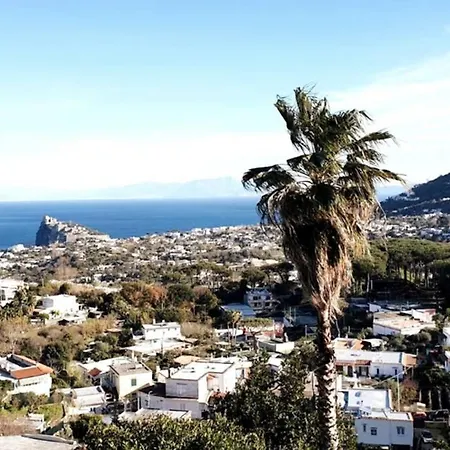Il Glicine Ischia