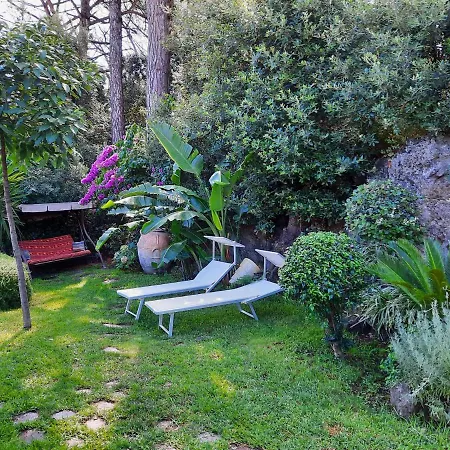 Il Glicine Ischia