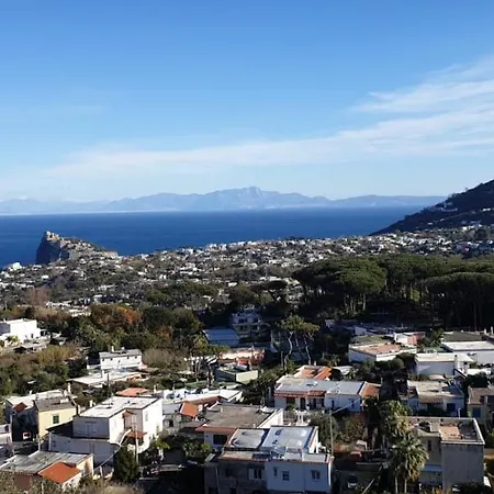 Il Glicine Apartment Ischia